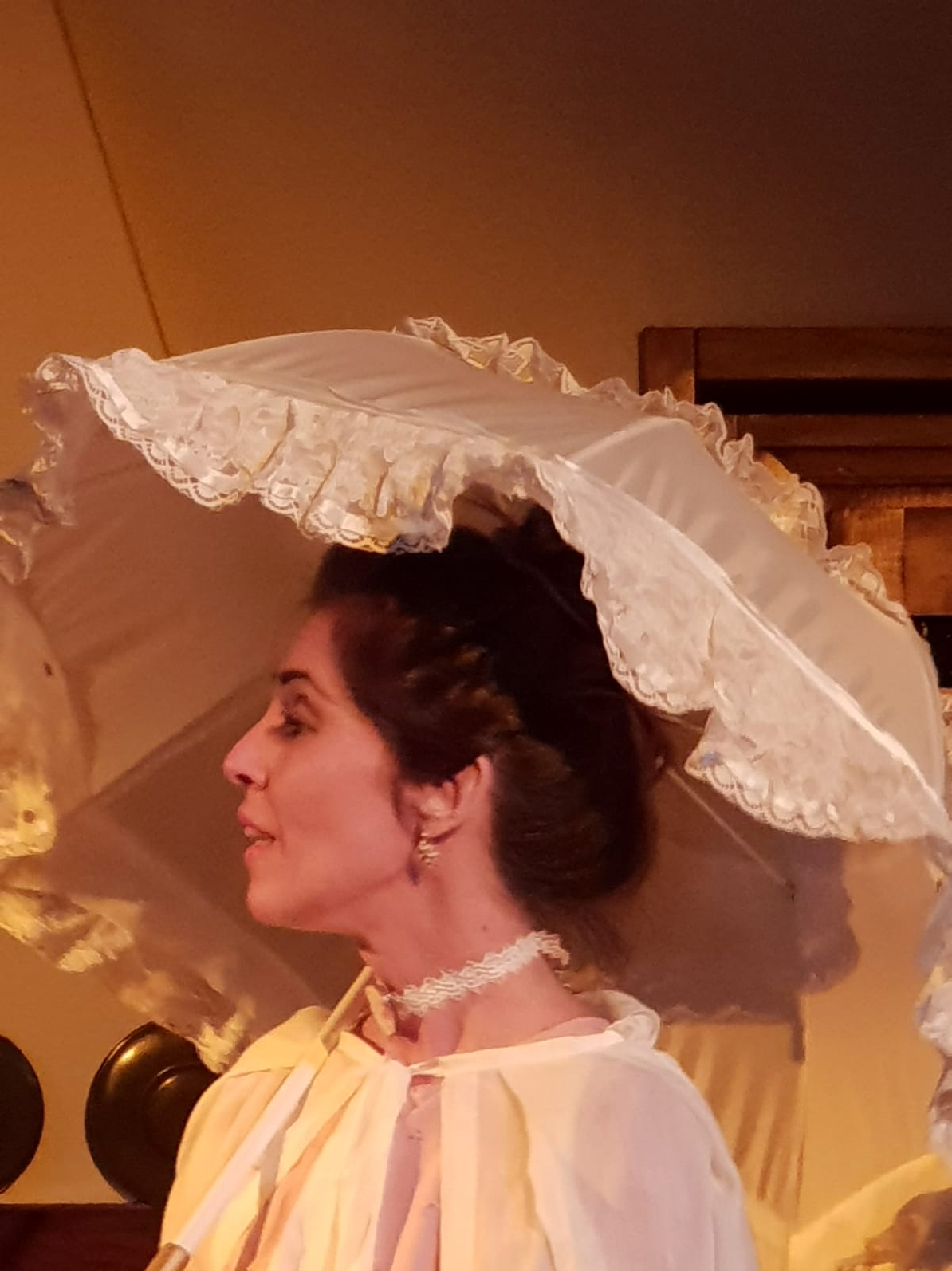 il gabbiano in concerto